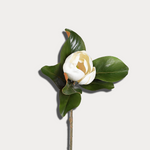 Artificial flower with a white bloom and green leaves on a light gray background
