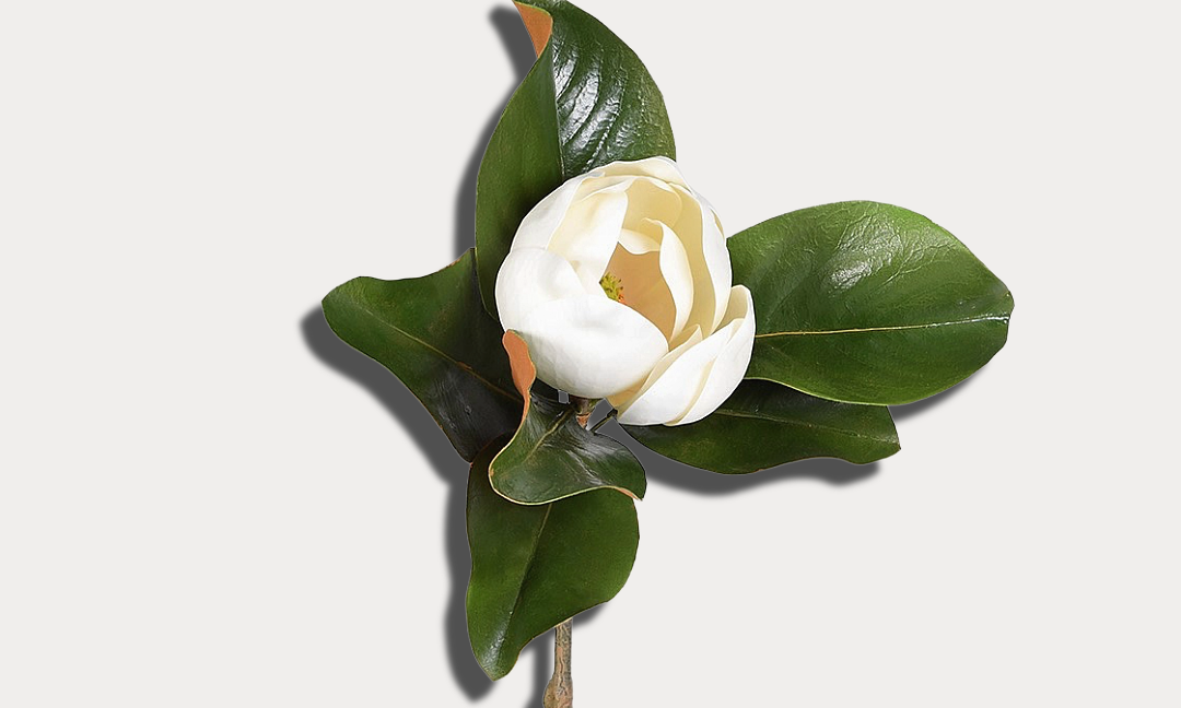 Artificial flower with a white bloom and green leaves on a light gray background