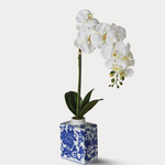 White orchid in a blue and white ceramic vase on a light gray background