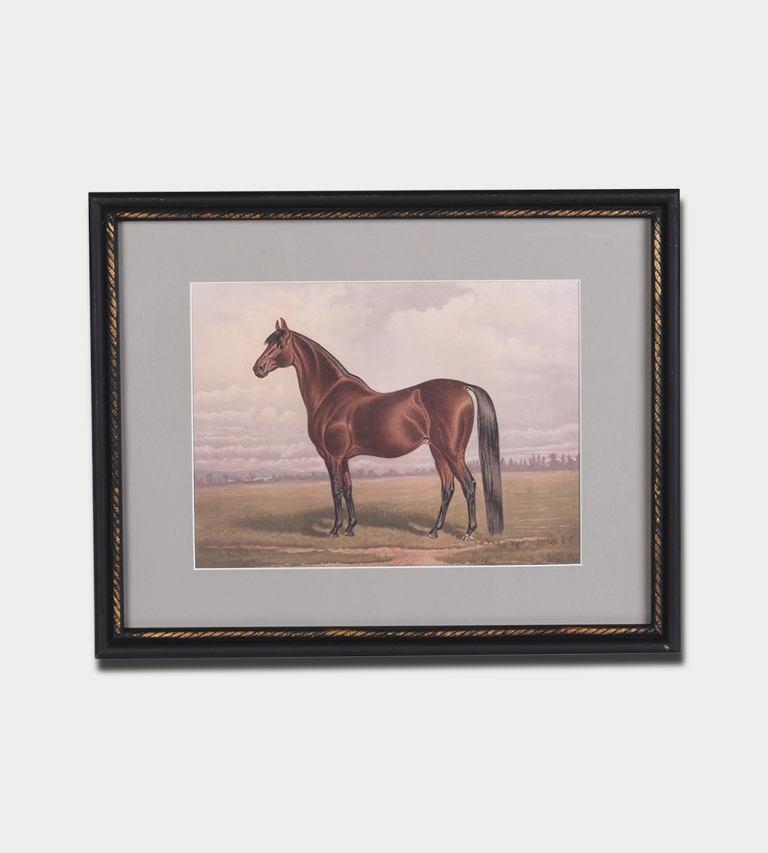 Framed painting of a horse on a plain background