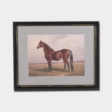 Framed painting of a horse on a plain background