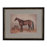 Lone Stallion Print