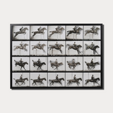 Horse & Rider Framed Print